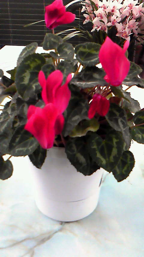 201203181341000.jpg