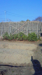 201203270728000.jpg