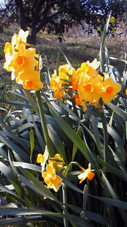 201203270808000.jpg