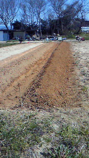 201203271009000.jpg