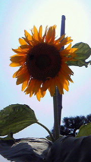 201407211424000.jpg