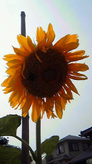 201407221511000.jpg
