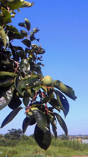 201407250749000.jpg