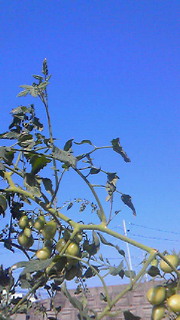 201407250804001.jpg