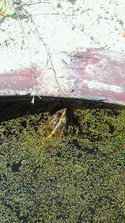 201407250750000.jpg