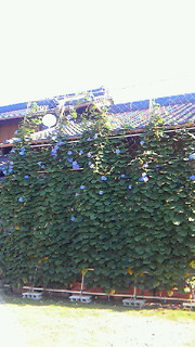 201407250804000.jpg