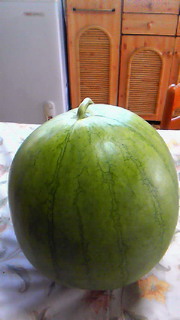 201407310811000.jpg