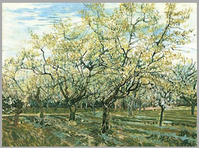 真っ白なお花特集♪ | アート名画館 公式ブログ