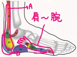 足の外側 反射区