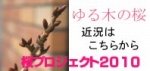 ゆる木桜の近況はコチラをクリック