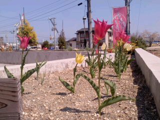 150423_1308~01.jpg