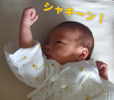 ¥¬¥Ã¥Ä¥Ý¡¼¥º