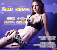 トリンプ理想の下着Part13★クリスマス★10月5日発売開始!