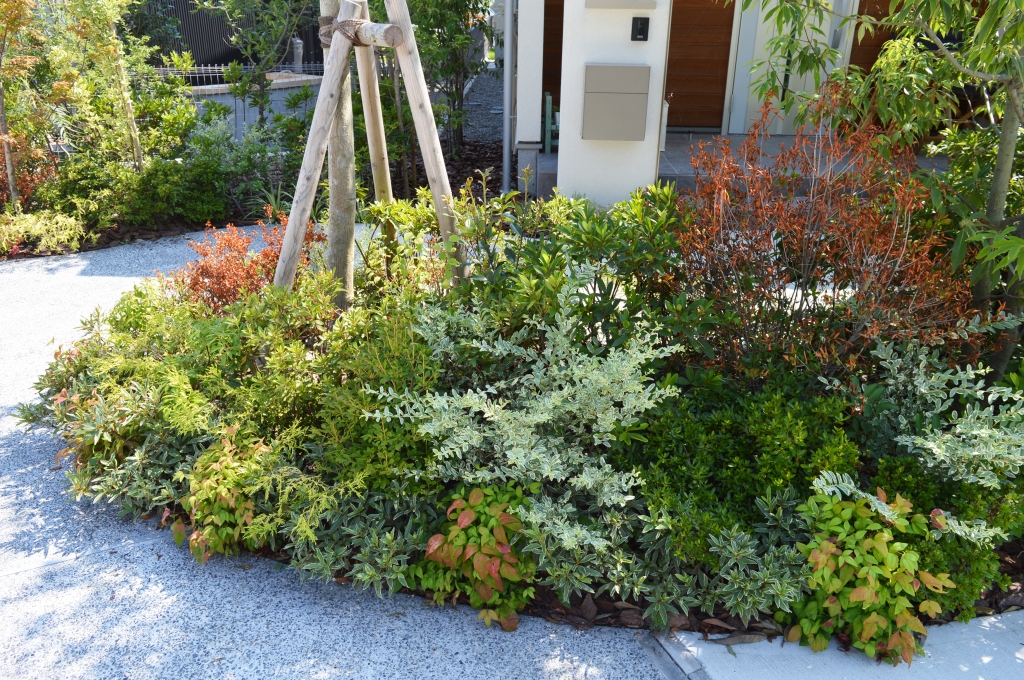 ヒルサイドテラス若葉台-5 植物について | 建築とランドスケープ：人