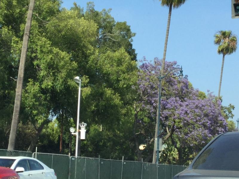 LA2017