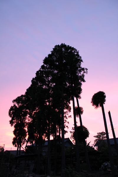 sunset