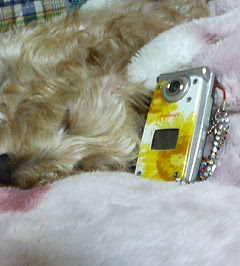 P1000014.jpg