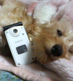 P1000002.jpg