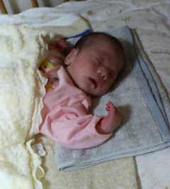 P1000027.jpg