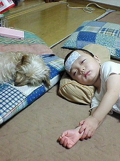 NEC_0066.jpg