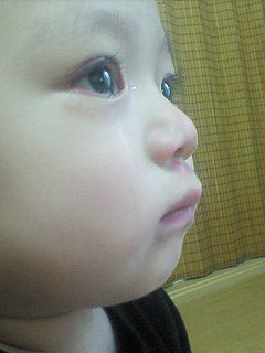 NEC_0065.jpg
