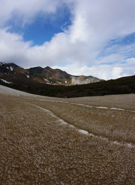 褐色の残雪
