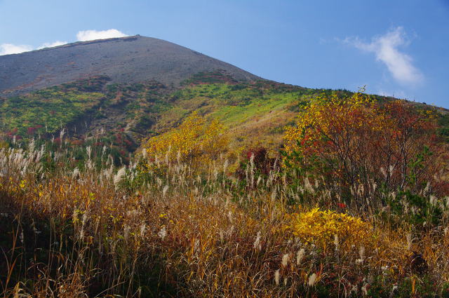 小富士のすそ野