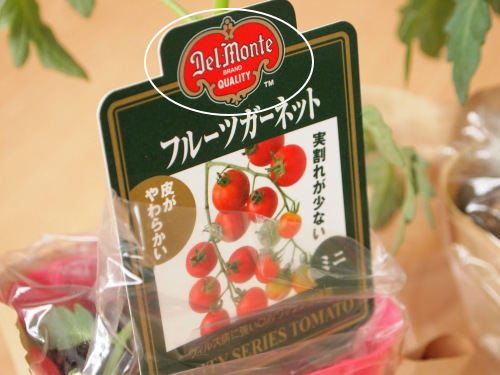 デルモンテ トマトの苗
