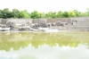 倉敷スポーツ公園07