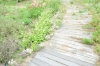 熊山英国庭園13