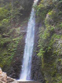 090520_1447~002.jpg