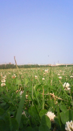 201006101602000.jpg