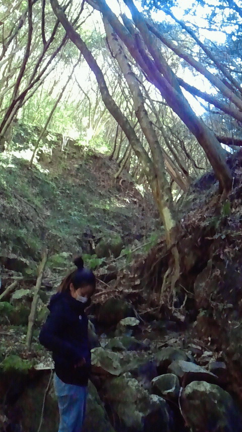 2011122713050000.jpg