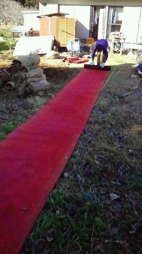 2012020914310000.jpg