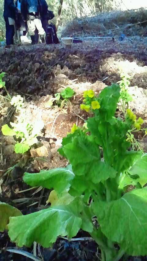 2012020110590000.jpg