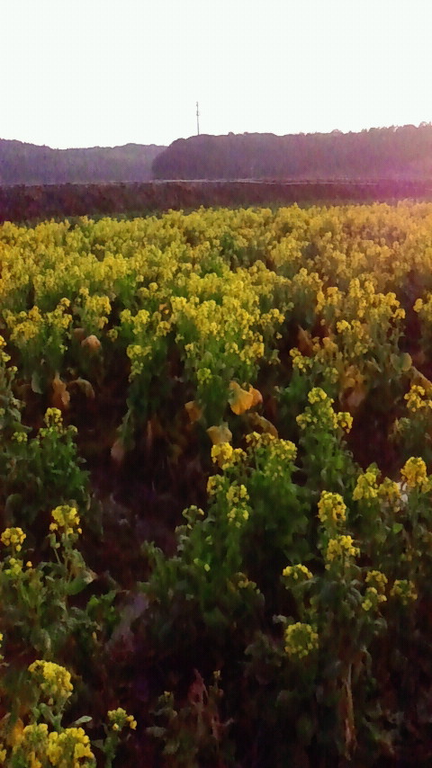 2012022416410001.jpg