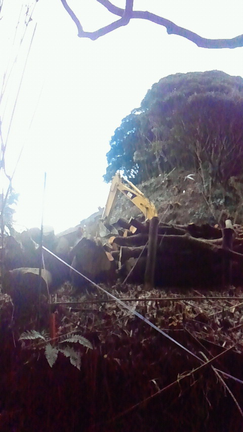 2012022710320000.jpg