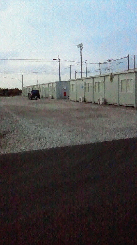 2012030818490000.jpg