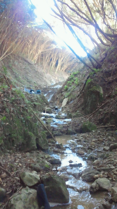 2012040808120000.jpg