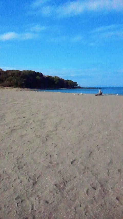 2011112612500000.jpg