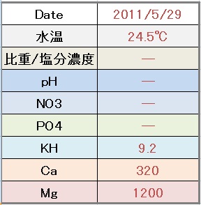 5/29