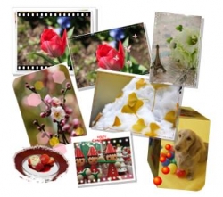 PhotoScapeを使ってみよう 画像編集編