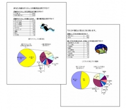 補助円グラフ付き円グラフを作ろう