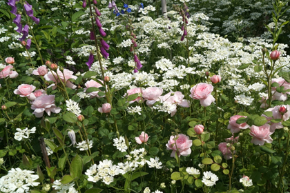 38-garden-cafe_山形_上山_カフェ_パンケーキ_花畑_ミツバチガーデンカフェ_27.jpg