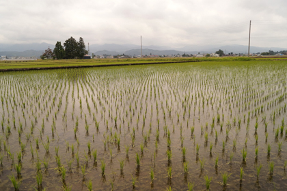 秋田_大仙市_美郷町_払田柵跡_払田の柵_11.jpg