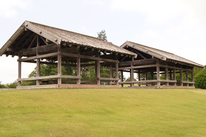 秋田_大仙市_美郷町_払田柵跡_払田の柵_09.jpg