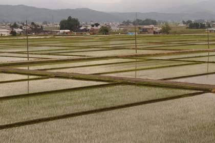 秋田_大仙市_美郷町_払田柵跡_払田の柵_08.jpg