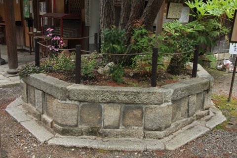 kiyokou-jyouzousa2.jpg