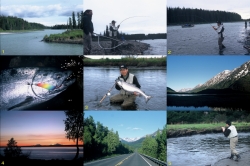 Alaska2002