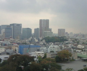 201111051543000.jpg
